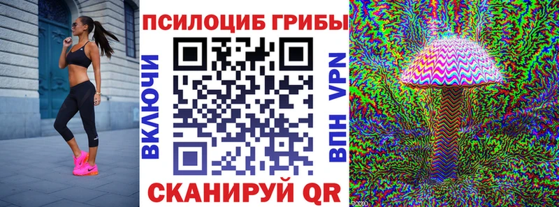 MEGA как войти  Пушкино  Псилоцибиновые грибы Cubensis 